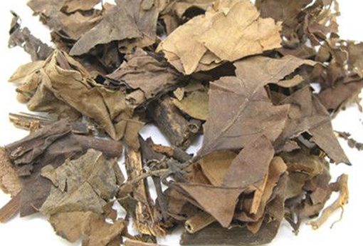 肿节风（肿节风分散片）