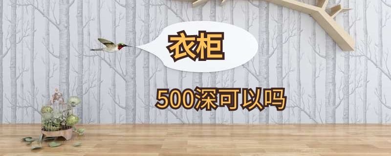 衣柜500深可以吗（衣柜可以做550深吗）