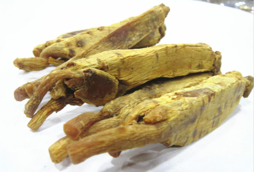 高丽参 高丽参的功效与作用