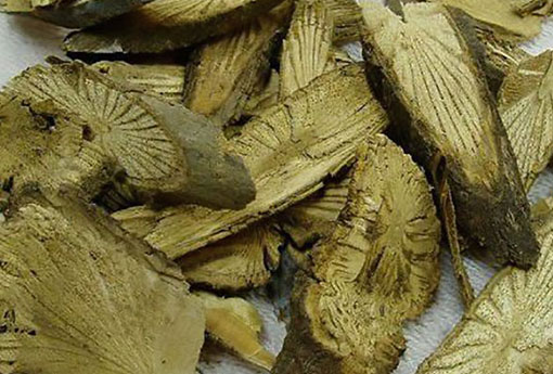 青风藤 青风藤的别名叫什么