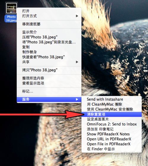 Mac系统如何删除鼠标右键菜单的重复项目?