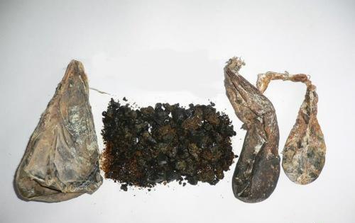 熊胆的功效与作用有哪些（熊胆的功效与作用,熊胆的副作用）