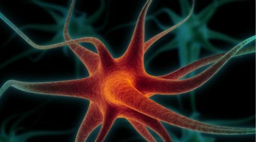 运动神经元疾病 运动神经元疾病是什么病