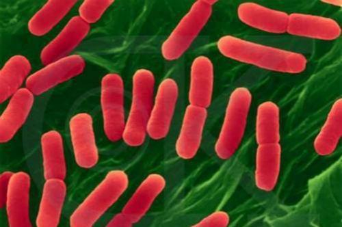 肺炎支原体 肺炎支原体抗体阳性是什么意思