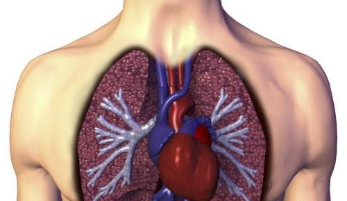 心脏神经官能症症状（心脏神经官能症症状是阵发性吗）