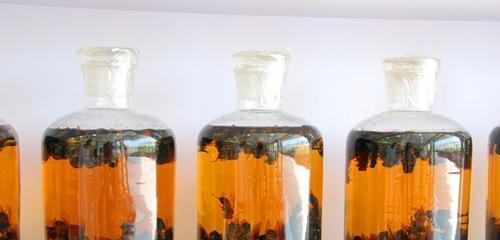 头皮下血肿的偏方（头皮血肿治疗方法）