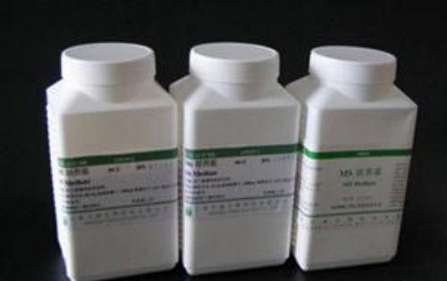 牛血清白蛋白（牛血清白蛋白V和BSA的区别）