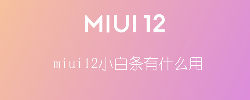 miui12小白条有什么用（miui12底下的白条有什么用）