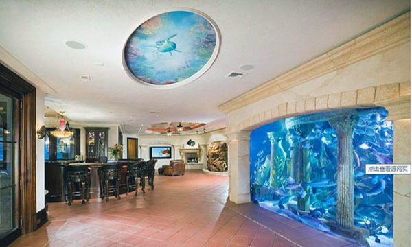 壁挂式鱼缸缺点有哪些（壁挂式鱼缸缺点有哪些呢）