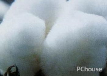 长绒棉是什么 长绒棉是什么面料优缺点