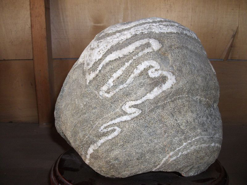 龙纹石的基本介绍和作用 龙纹石的基本介绍和作用是什么