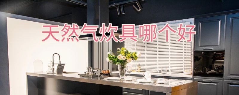 天然气炊具哪个好 天然气炊具哪个好一点