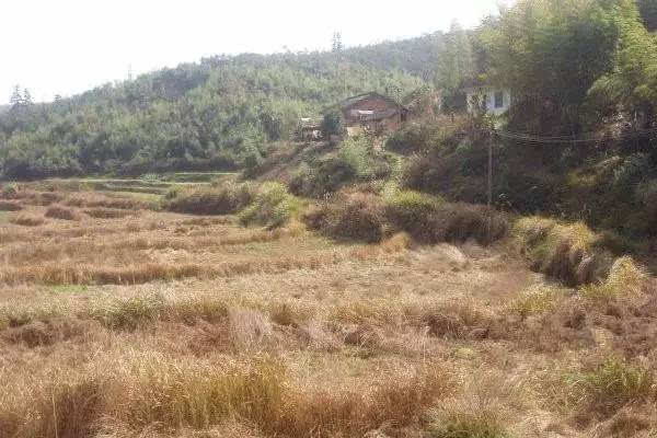 农村土地纠纷*有利的证据 农村土地纠纷处理依据