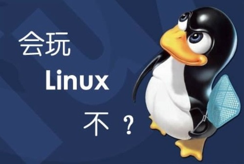 Linux系统安装Mongo扩展的方法 linux 启动mongo