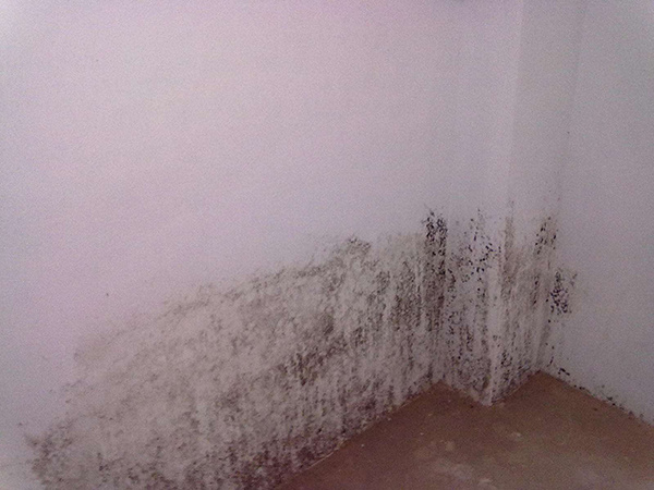 空气湿度增加墙面易发霉 空气湿度多少墙壁会发霉