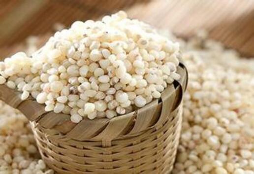 高粱米的功效与作用及食用禁忌（高粱米的功效与作用及食用禁忌）
