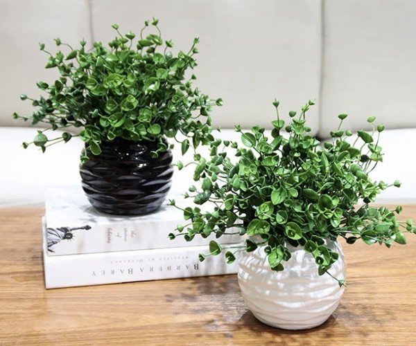 家居花盆如何选购 家居花盆如何选购好