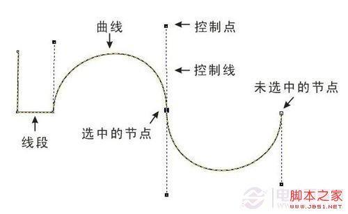 如何用好PS中的钢笔工具（如何用好ps中的钢笔工具抠图）