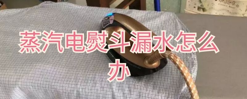 蒸汽电熨斗漏水怎么办