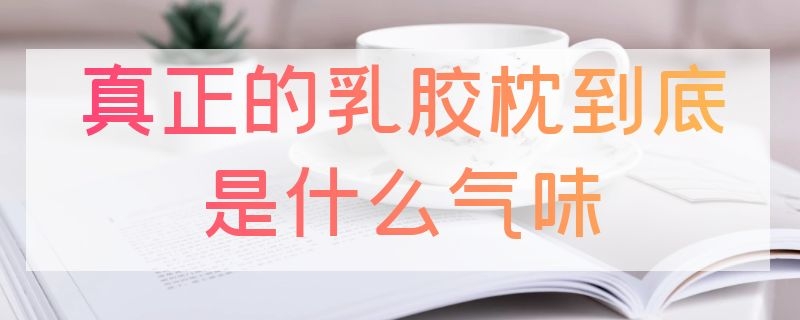 真正的乳胶枕到底是什么气味