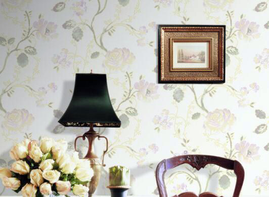 安利一款美观又耐用的壁纸（安利一款美观又耐用的壁纸软件）