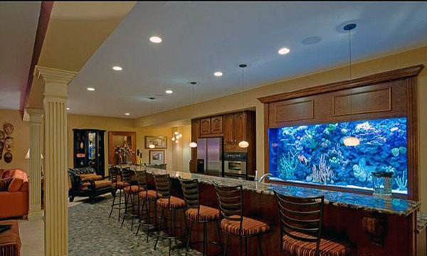 壁挂式鱼缸该如何保养