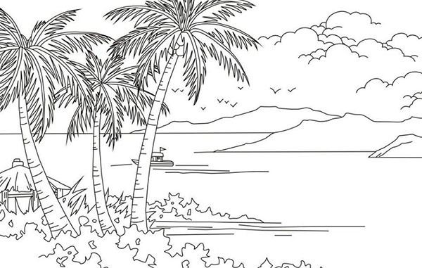 椰子树简笔画的分析介绍 椰子树简笔画大全带颜色
