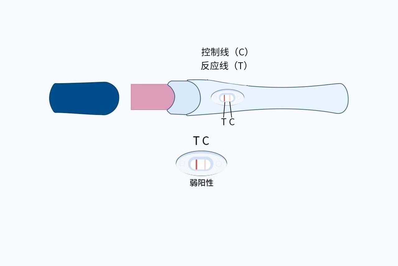 同房14天验孕棒一深一浅图片 同房12天验孕棒一深一浅