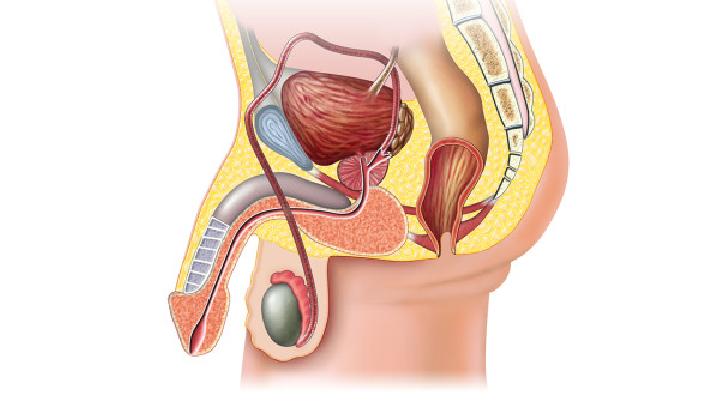 男性包茎的危害有哪些 性功能障碍会给男性带来这几个危害