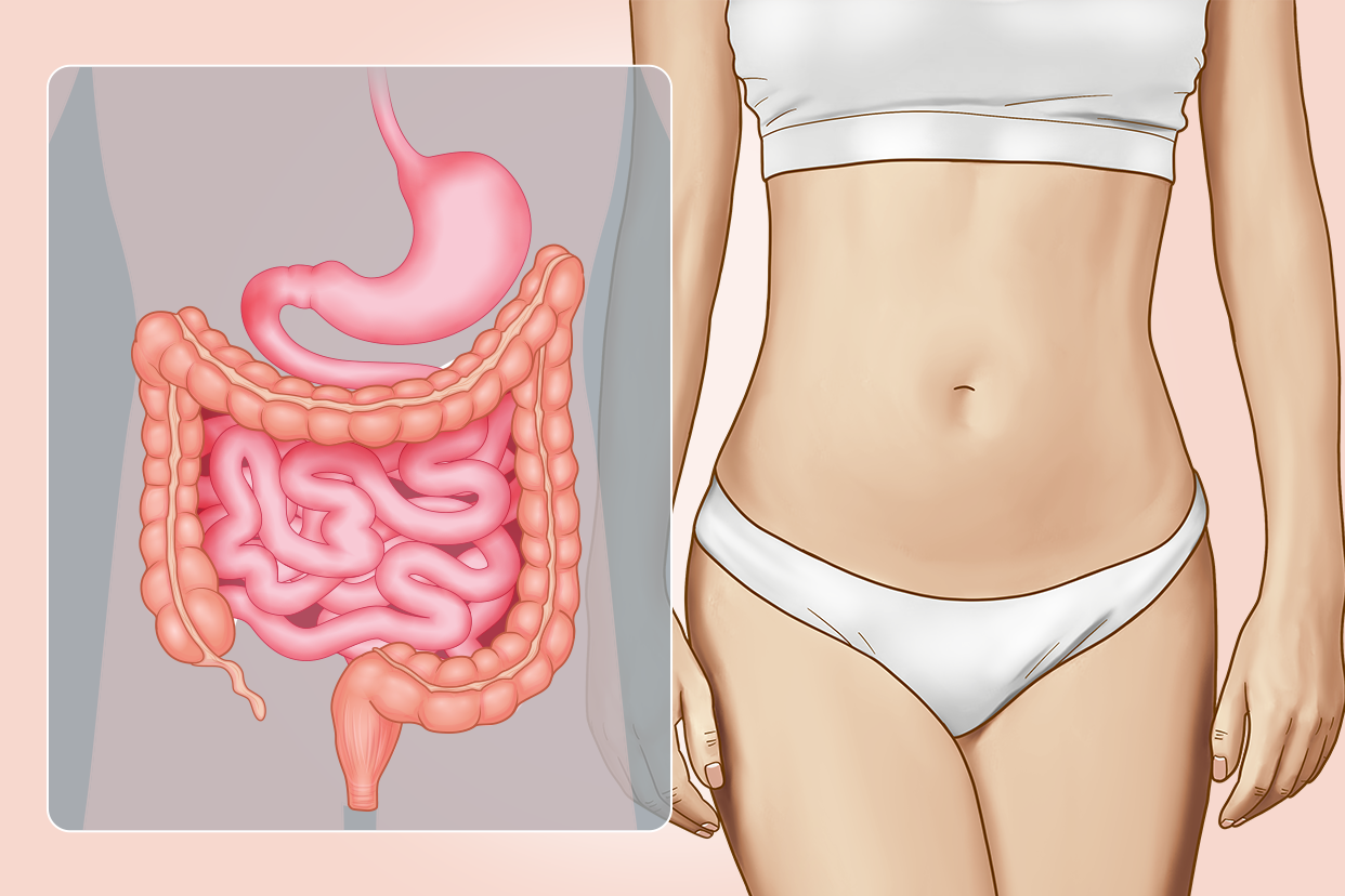 女性肠胃图片（肠胃图片大全高清图片）