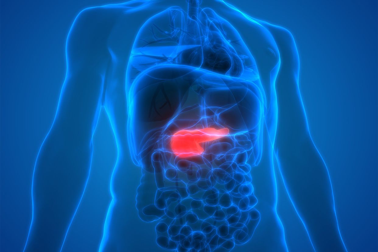 胰腺在腹中的位置图