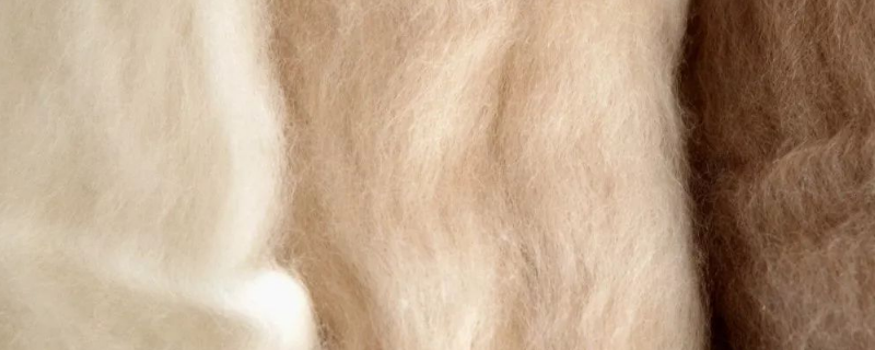 羊毛和羊绒的区别（初剪羊毛和羊绒的区别）