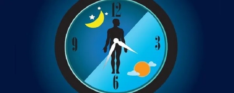 生物钟有哪些 生物钟有哪些动物最少50种