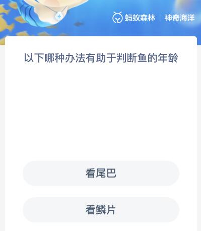 以下哪种办法有助于判断鱼的年龄（以下哪种办法有助于判断鱼的年龄大小）