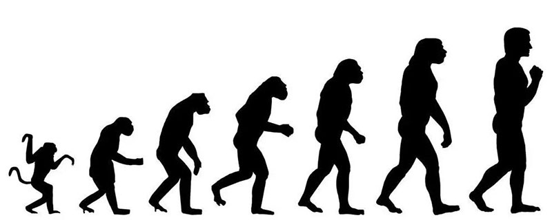 人类祖先的进化历程 人类祖先的进化历程简笔画