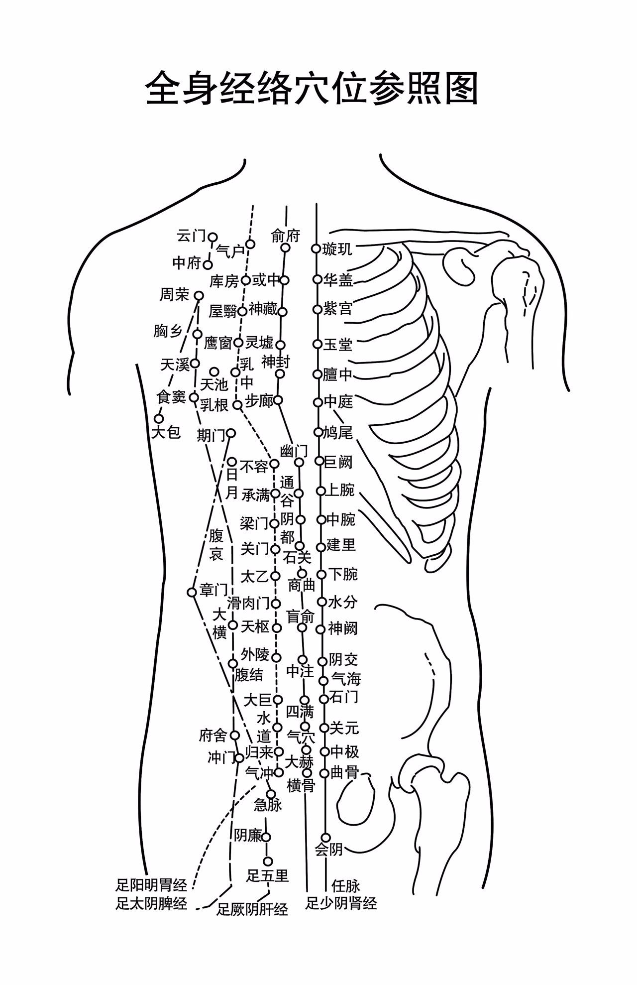 胸部筋络图（胸部筋脉曲张的图片）
