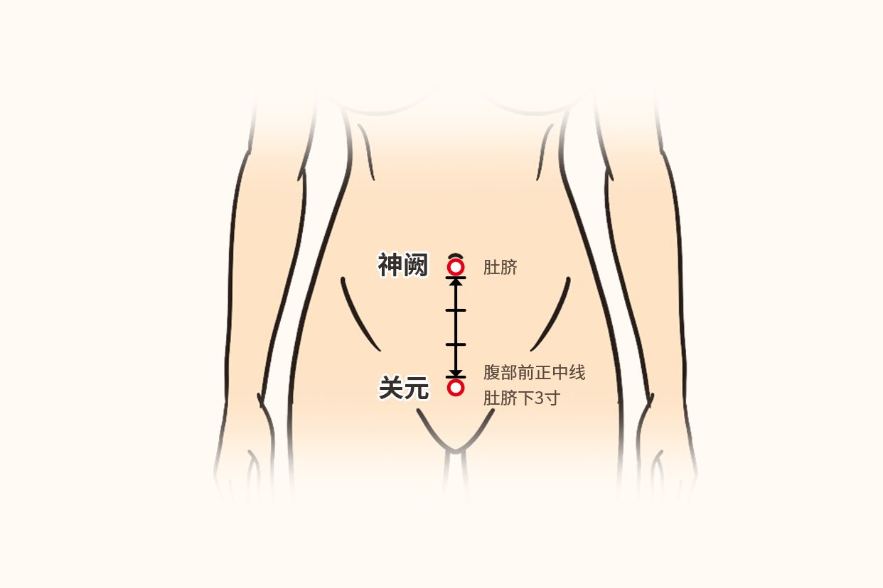 女人肾阳虚按摩什么部位图解（女性肾阴虚按摩哪里）