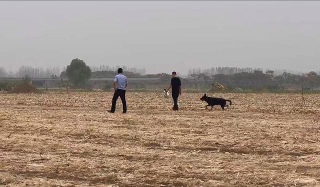 失踪十多天的男童已不幸遇难，警方正调查原因  