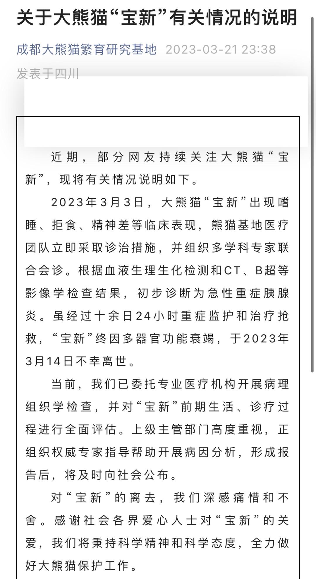 官方通报：确认大熊猫“宝新”离世