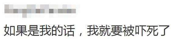 理想L9在无人陵园雷达显示全是人影？车企称可能是信号问题    