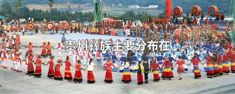 贵州彝族主要分布在 贵州彝族主要分布在哪个地区