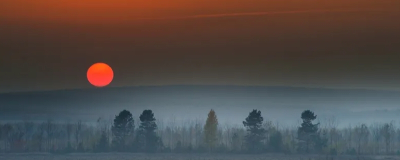 丹彤的寓意（丹彤的含义）