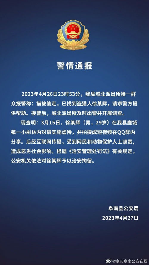 男子偷猫后拍虐猫视频被治安拘留 警方通报网红偷猫后在小树林虐杀