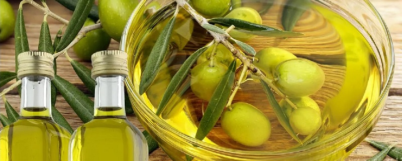 橄榄油低温状态下会凝固吗 橄榄油在低温下会凝固吗