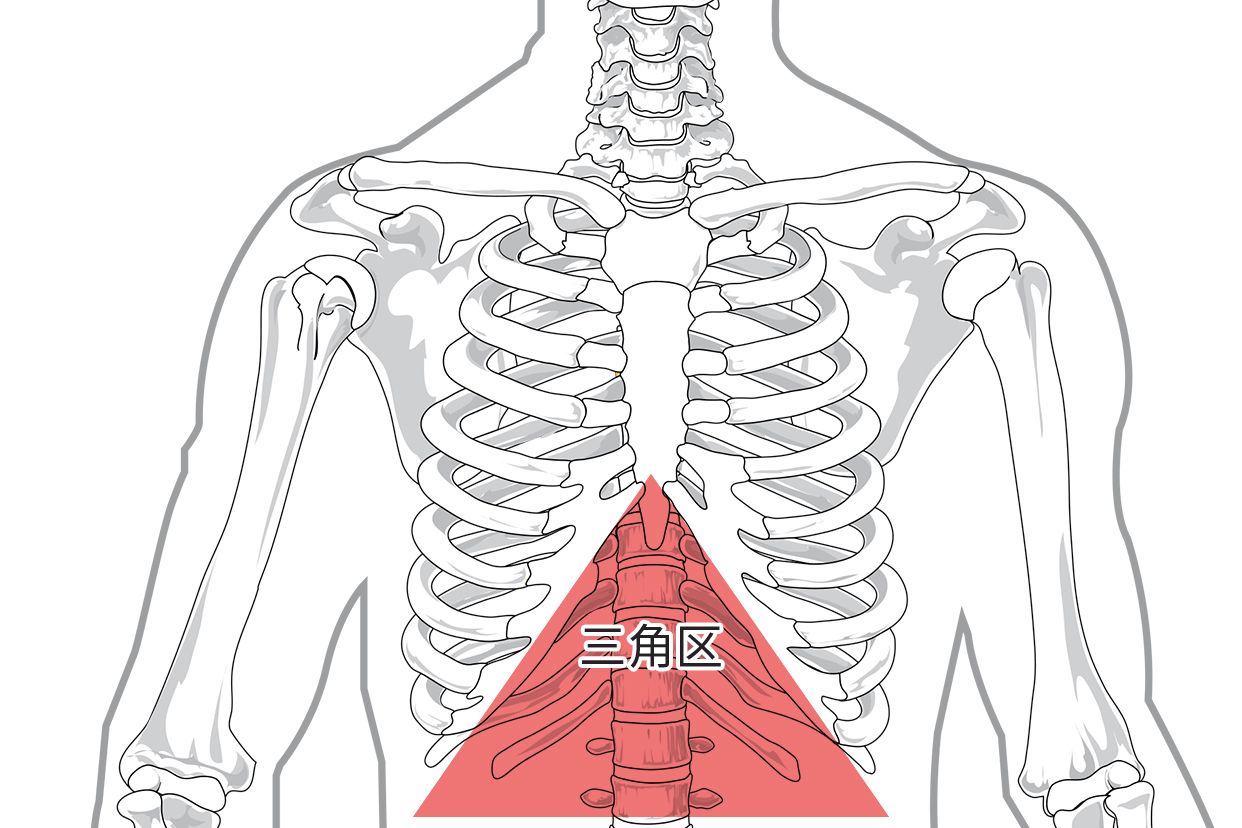 胃最上面三角区结构图 胃最上面三角区按压有硬块