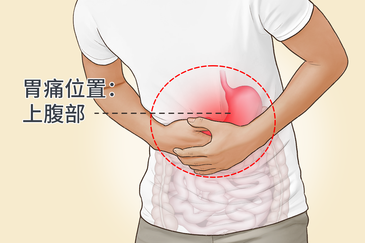 胃痛在肚子哪个位置图 胃痛在肚子的哪个位置