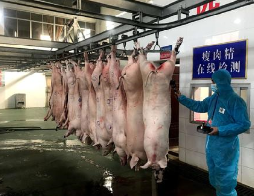 农民杀两头猪卖被罚款4万,拒交罚款被告上法庭,农民:还让我活吗？