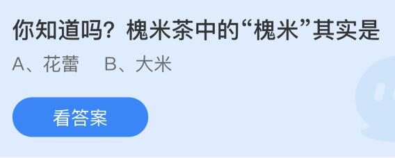 槐米茶中的槐米其实是花蕾还是大米 槐米茶是什么槐树