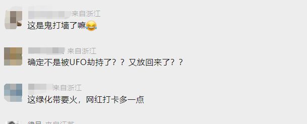 杭州园林部门回应“男子在绿化带迷路被困3天”：草木会及时修剪，事发地或为未开发区域 