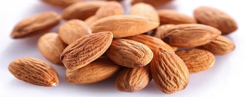 杏仁能种吗 杏仁可以种出杏树吗